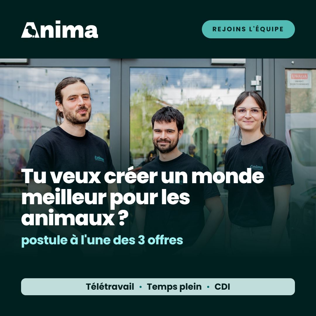 Anima ad