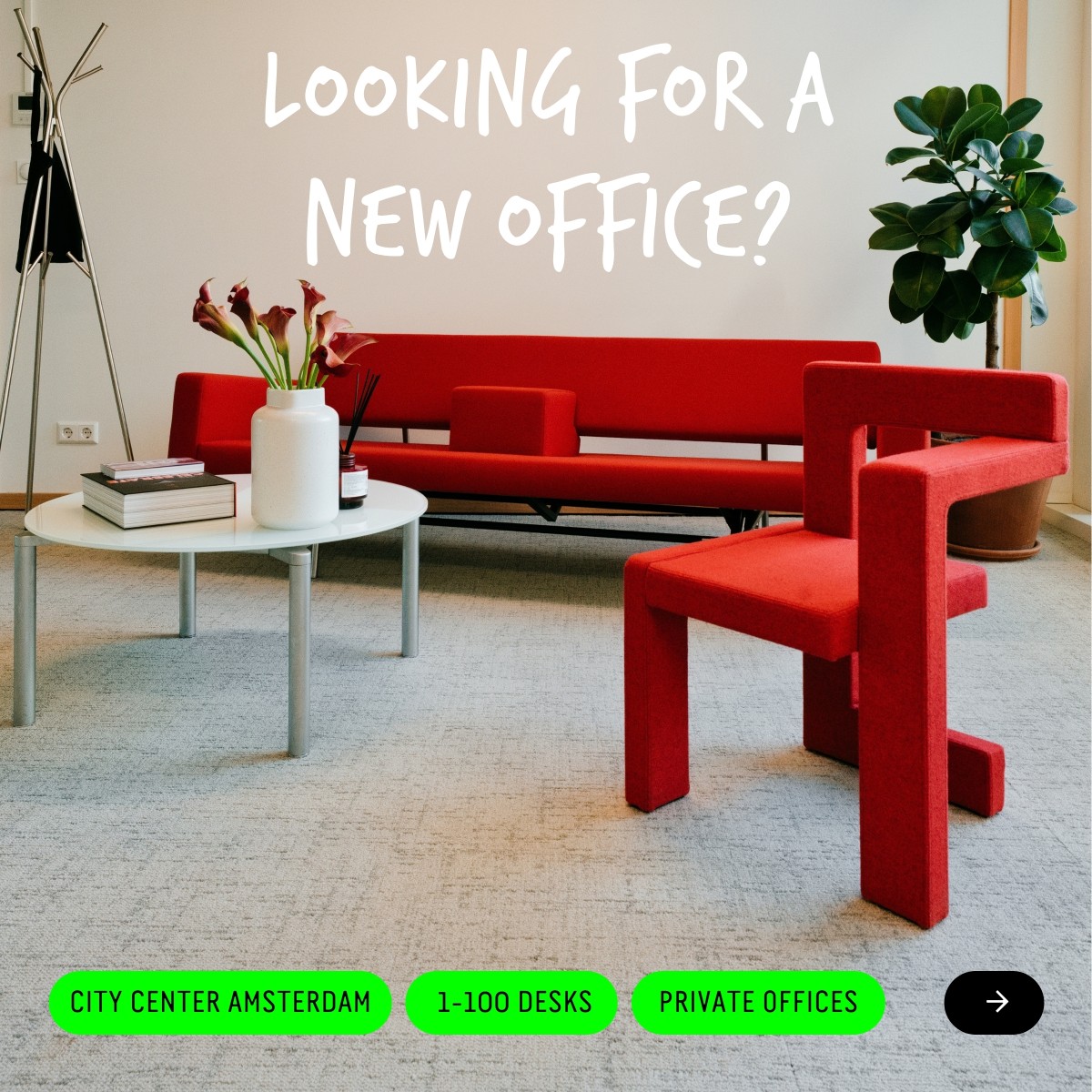 Capital C Amsterdam | B Corp™ ad