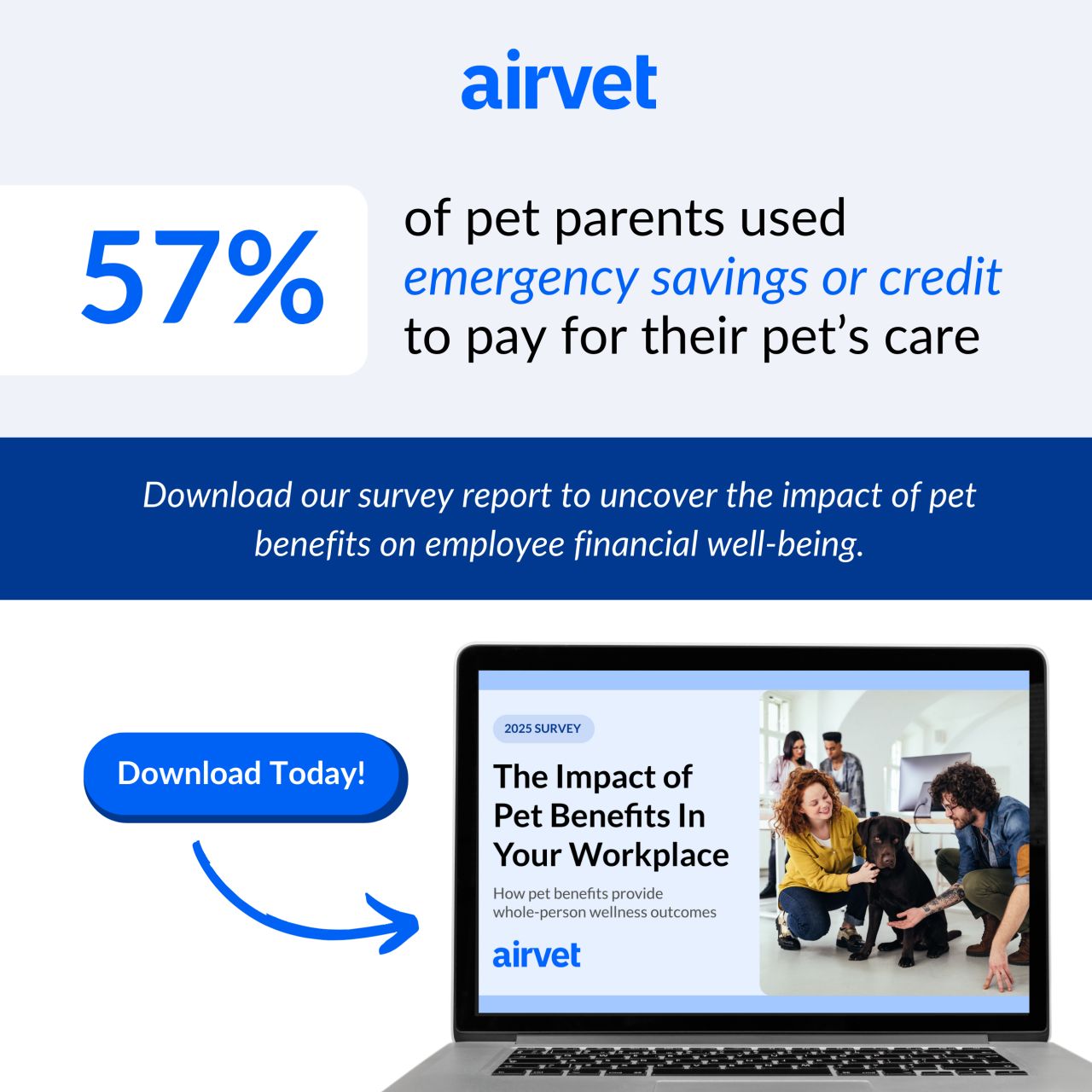 Airvet ad