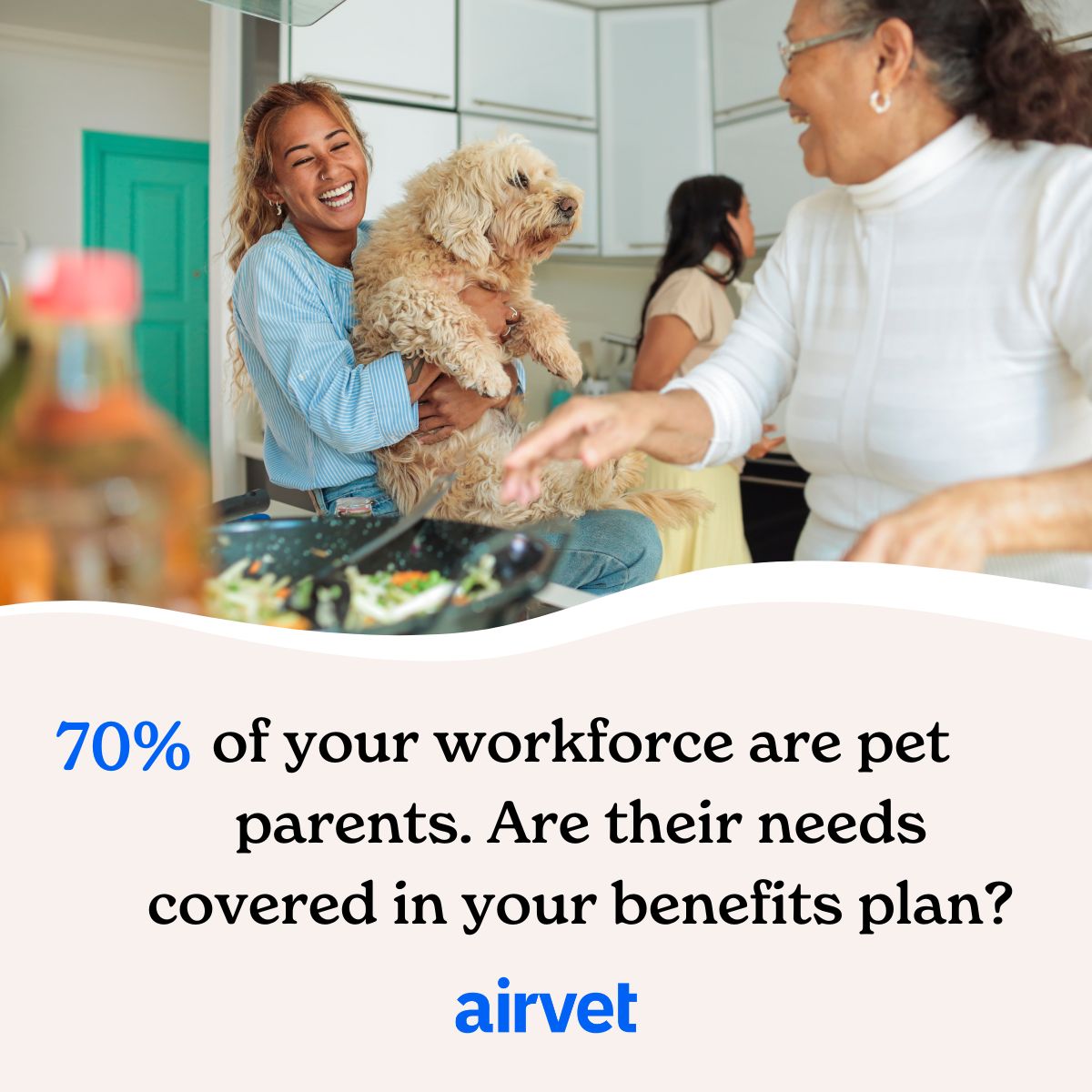 Airvet ad
