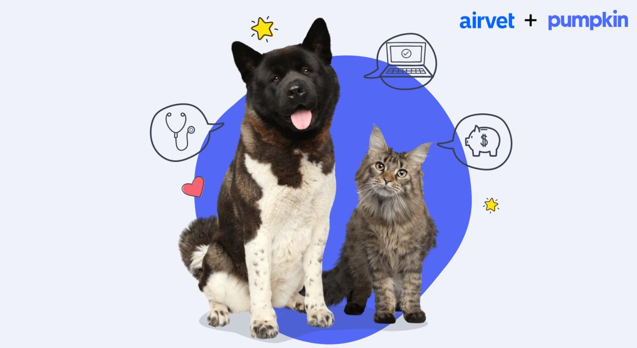 Airvet ad