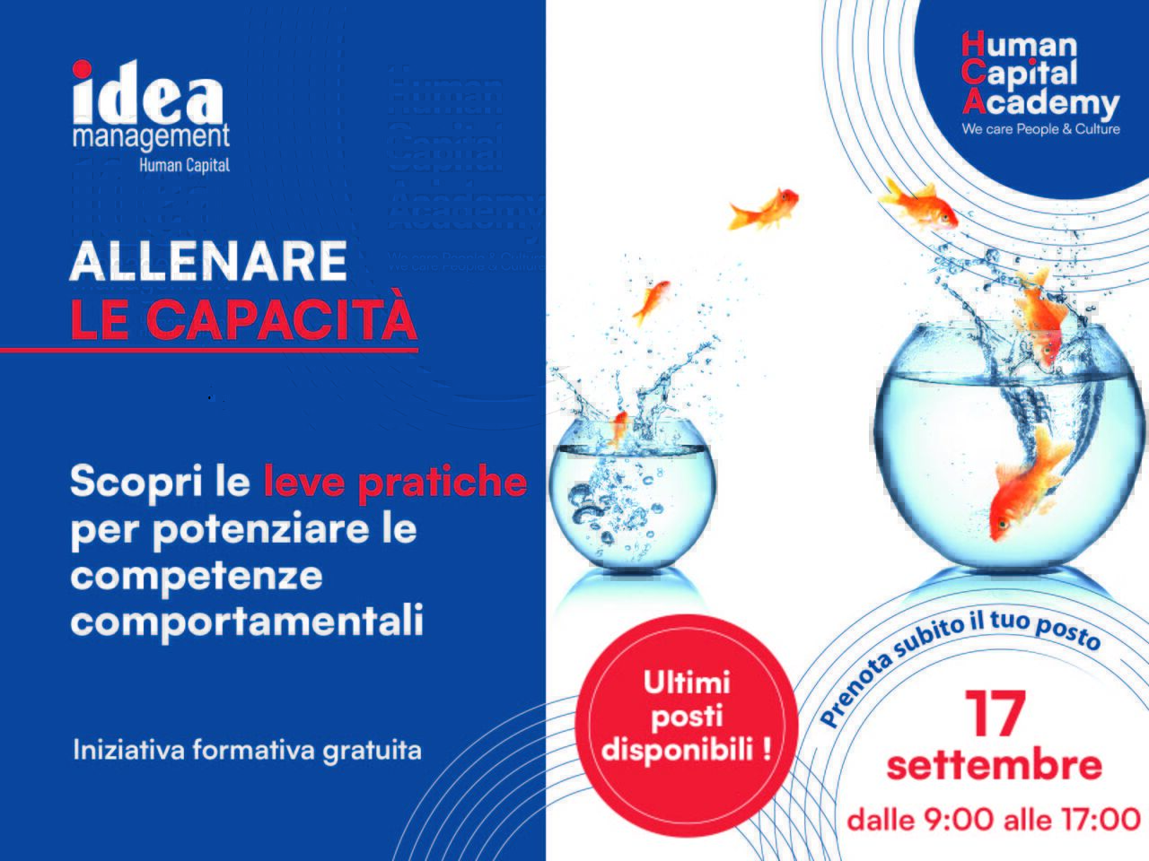 IdeaManagement Human Capital ad
