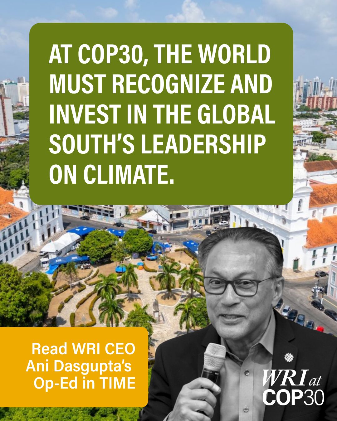 World Resources Institute ad