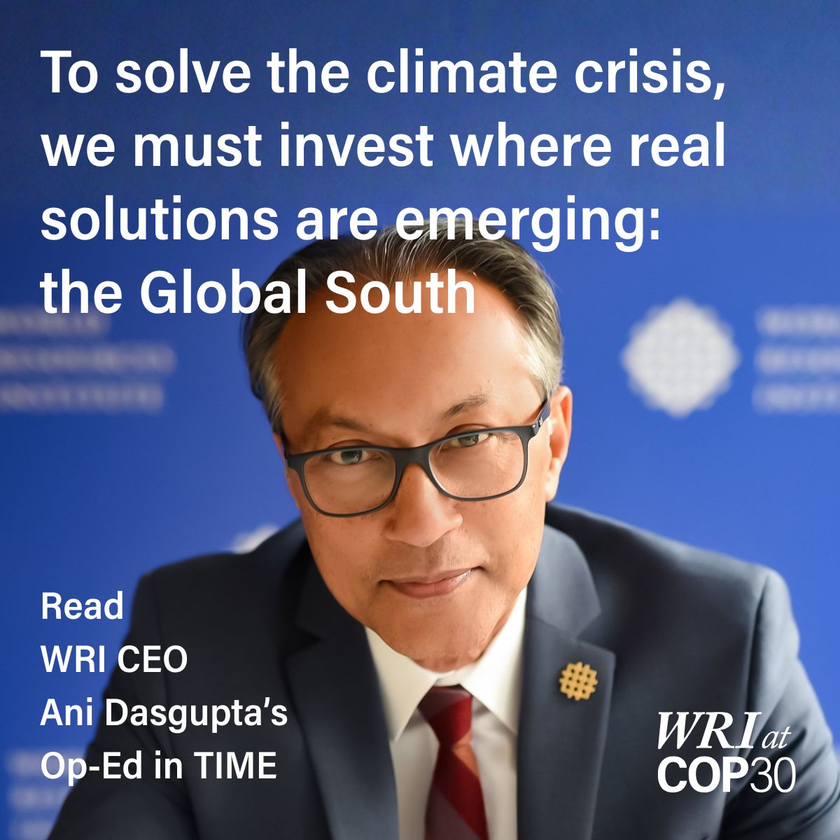 World Resources Institute ad