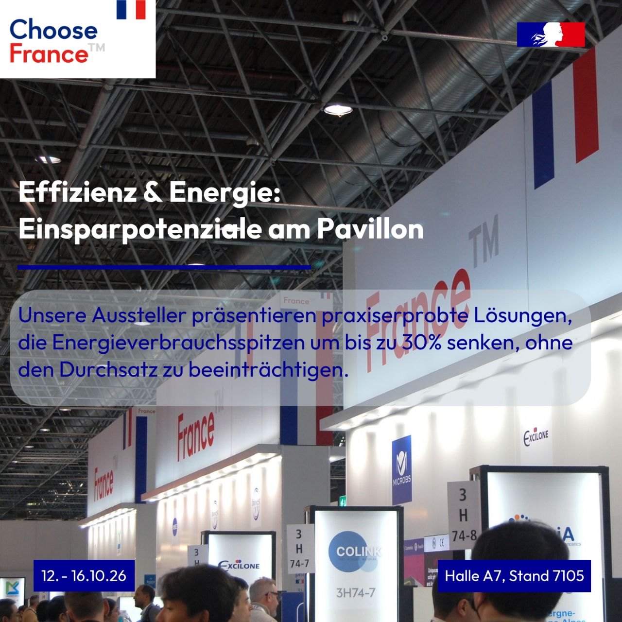 Business France Germany ad