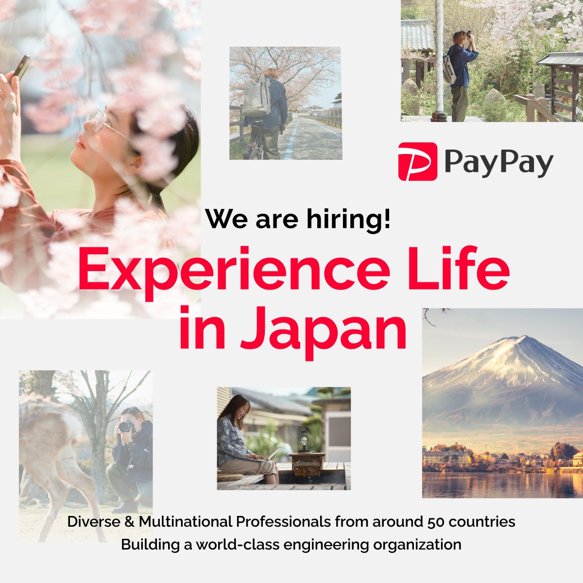 PayPay Corporation ad