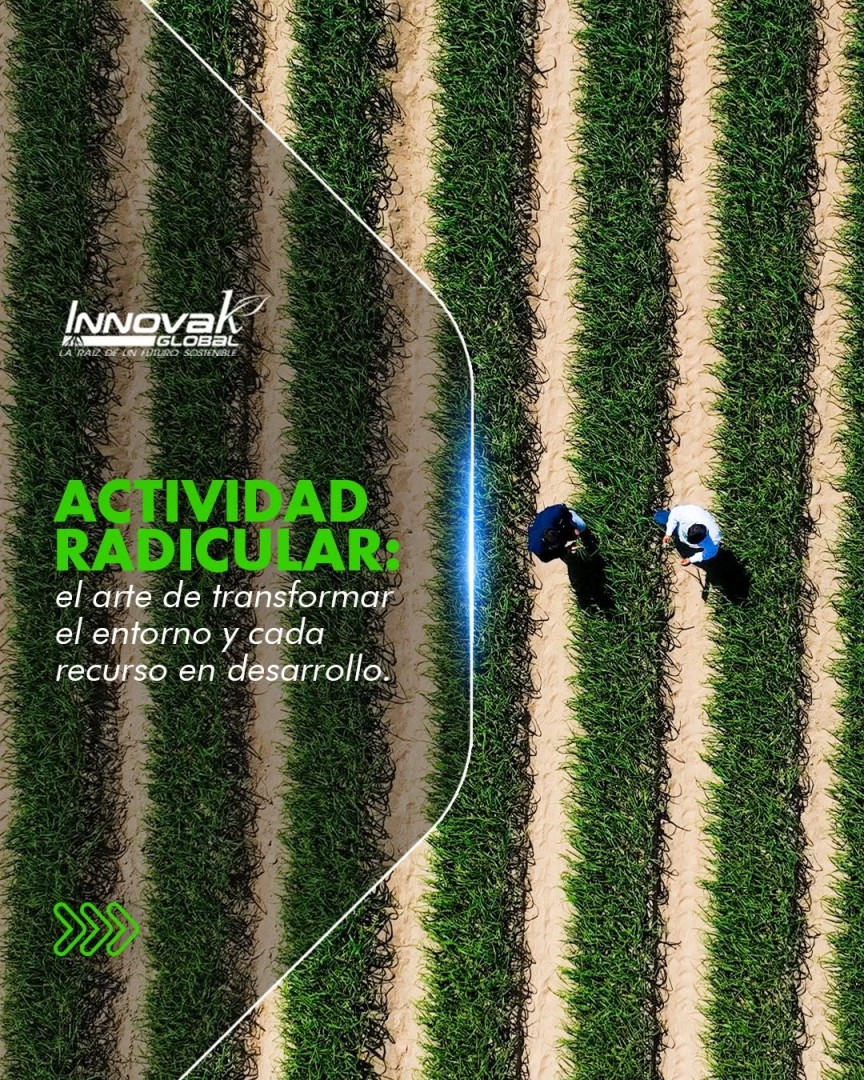 Innovak Global ad