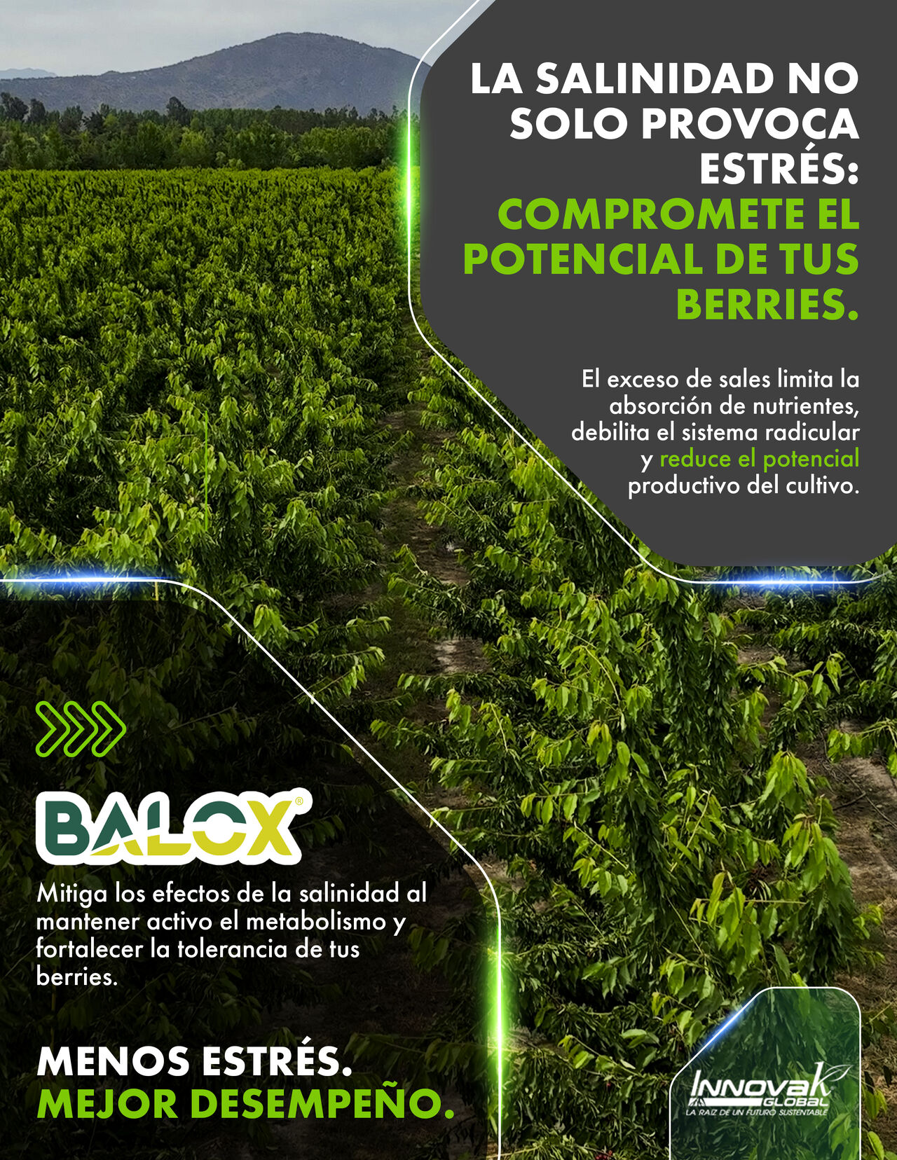 Innovak Global ad
