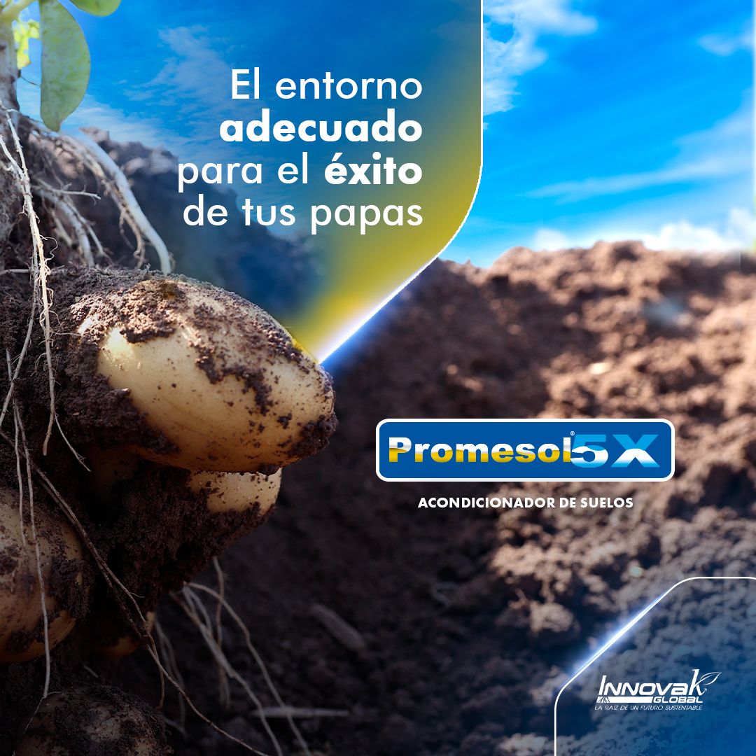 Innovak Global ad