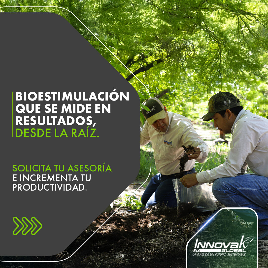 Innovak Global ad