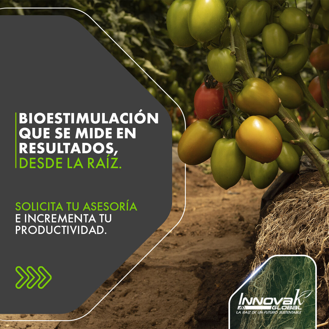 Innovak Global ad