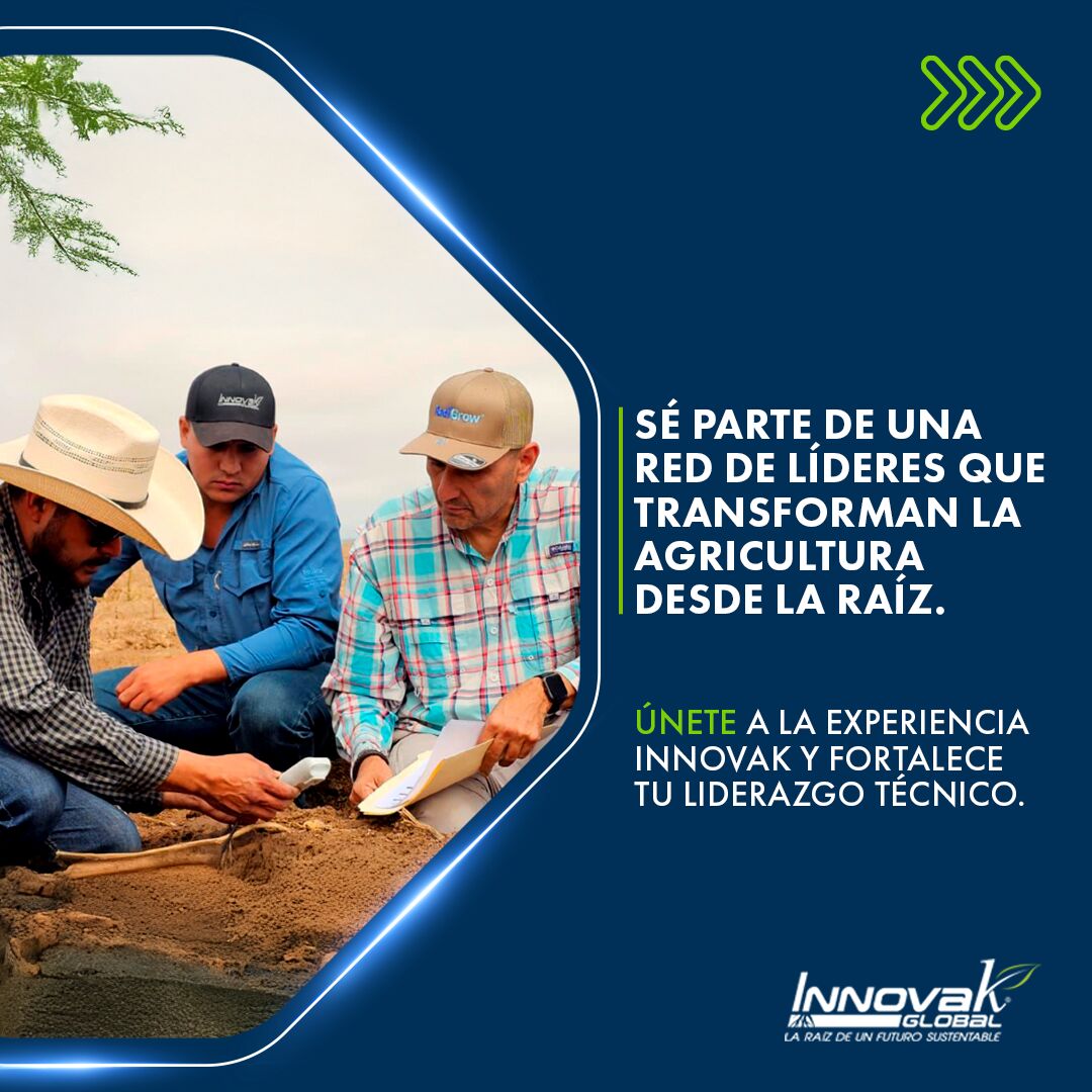 Innovak Global ad