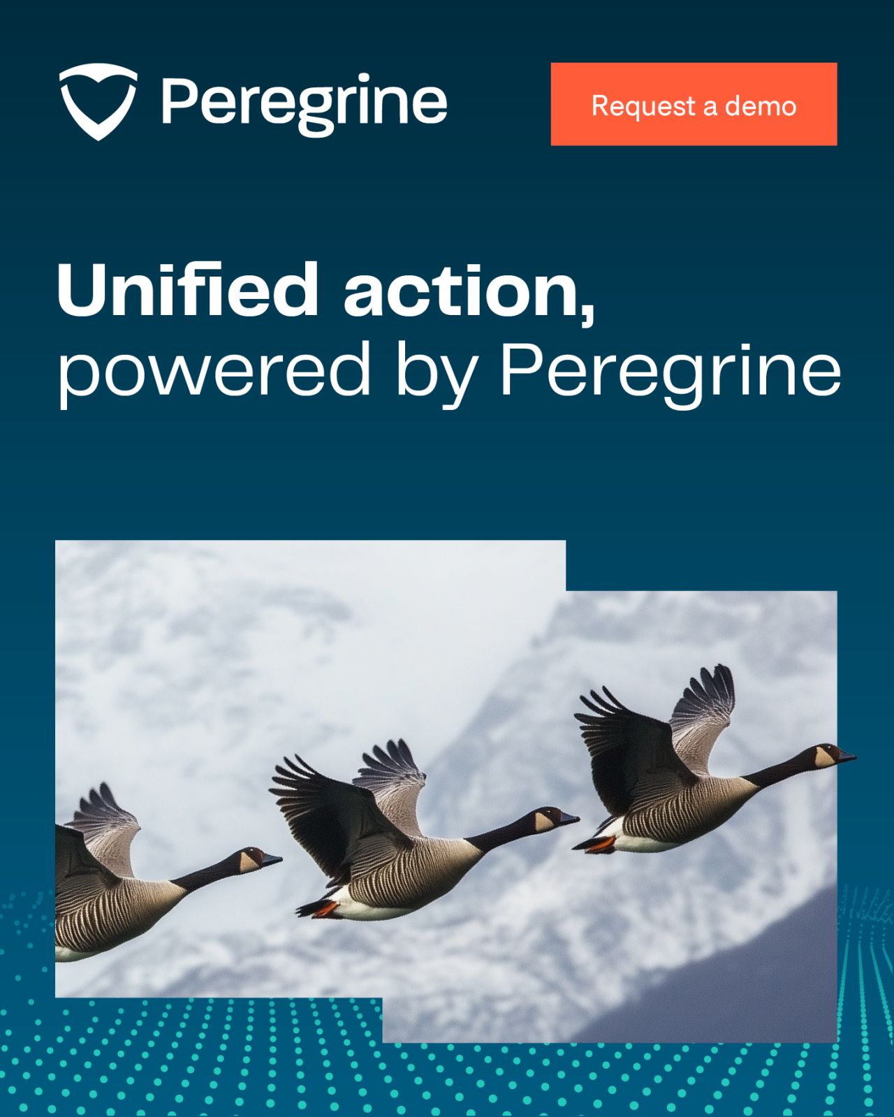 Peregrine ad