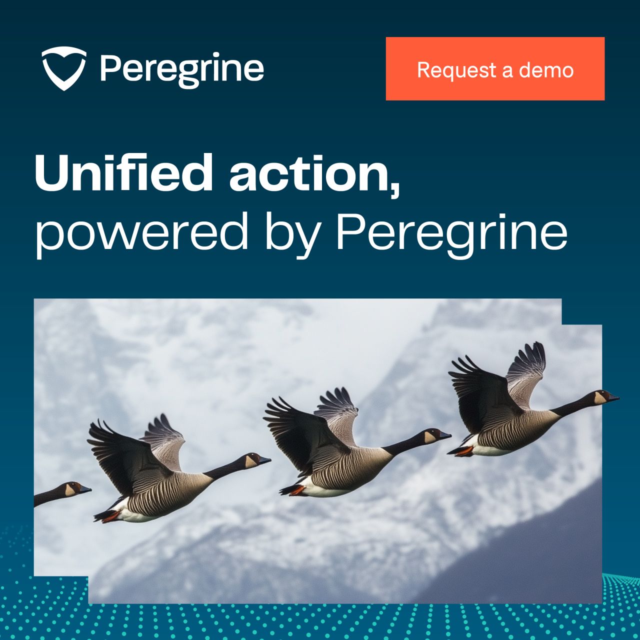 Peregrine ad