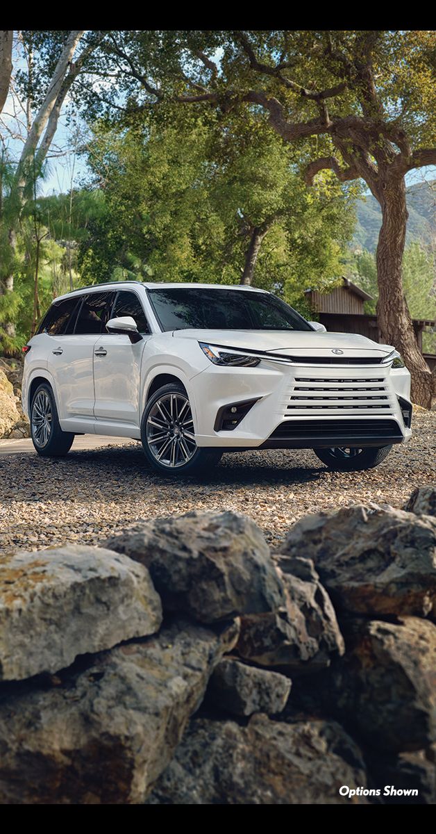 Harvey Lexus of Grand Rapids ad
