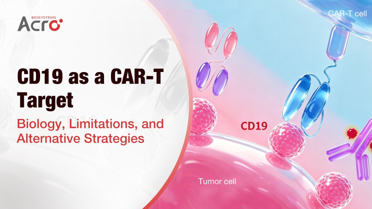 ACROBiosystems ad