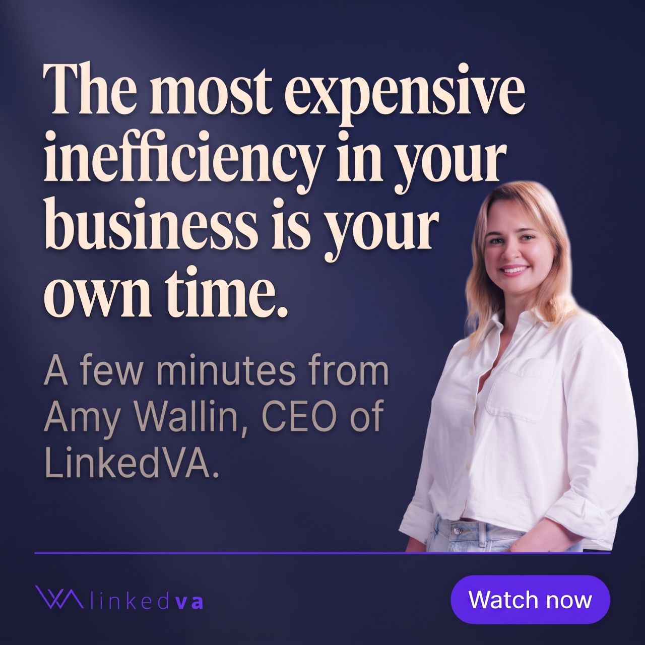 LinkedVA ad