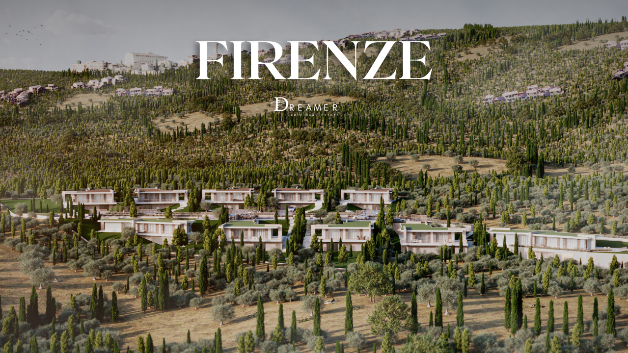 Dreamer Luxury Real Estate ad