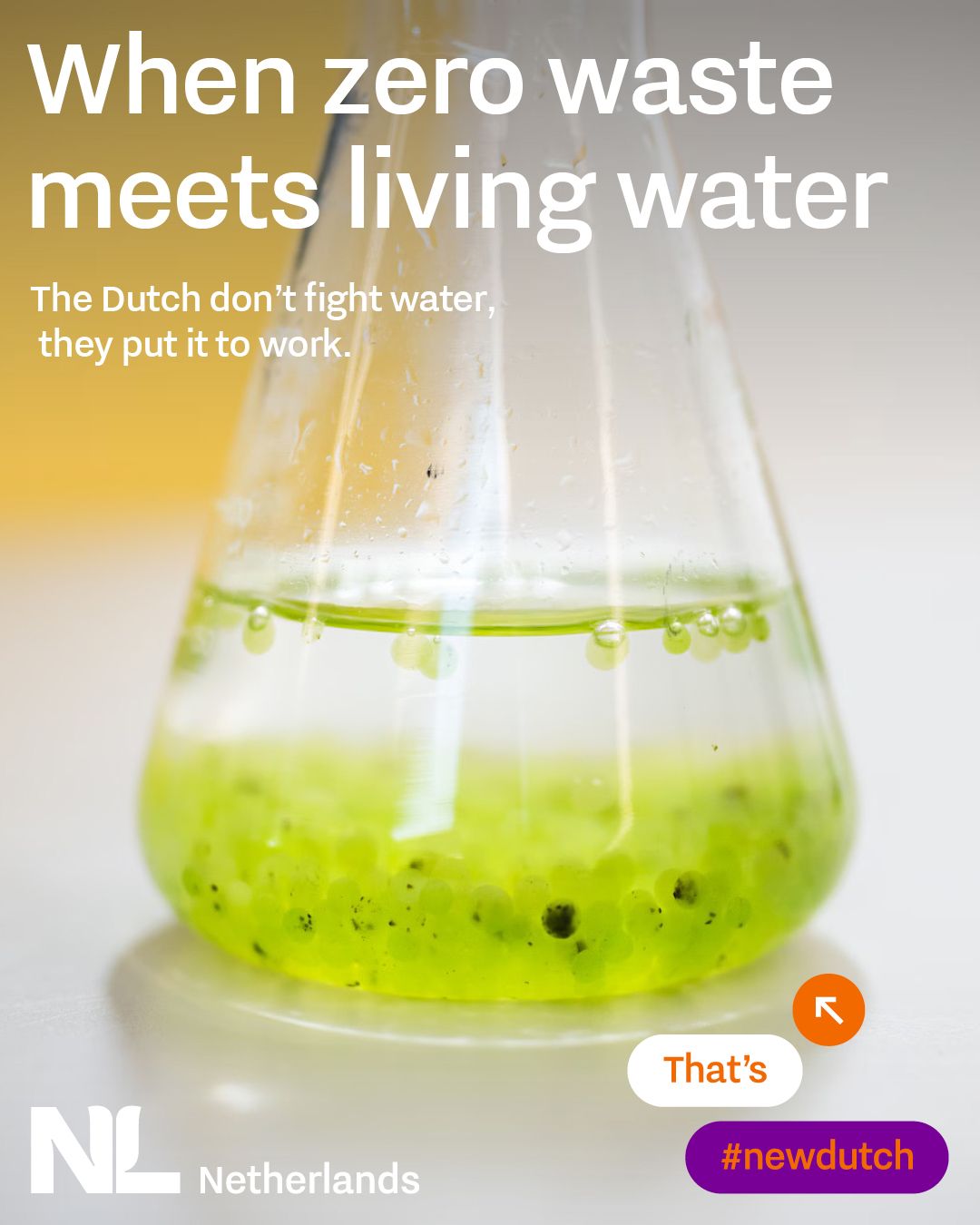 Netherlands ad