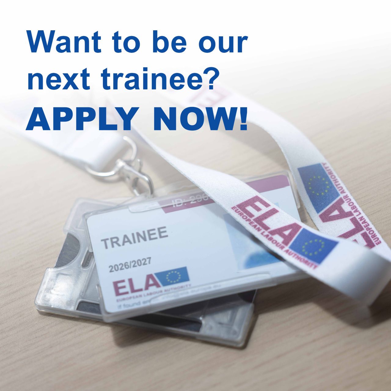 European Labour Authority ad