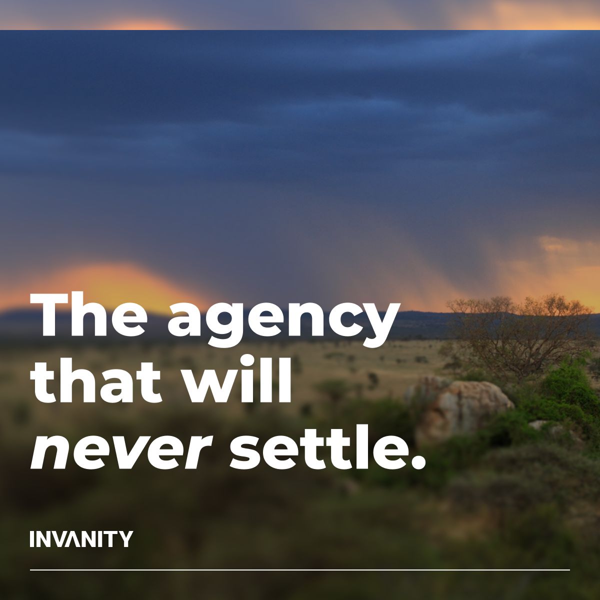 Invanity Marketing ad