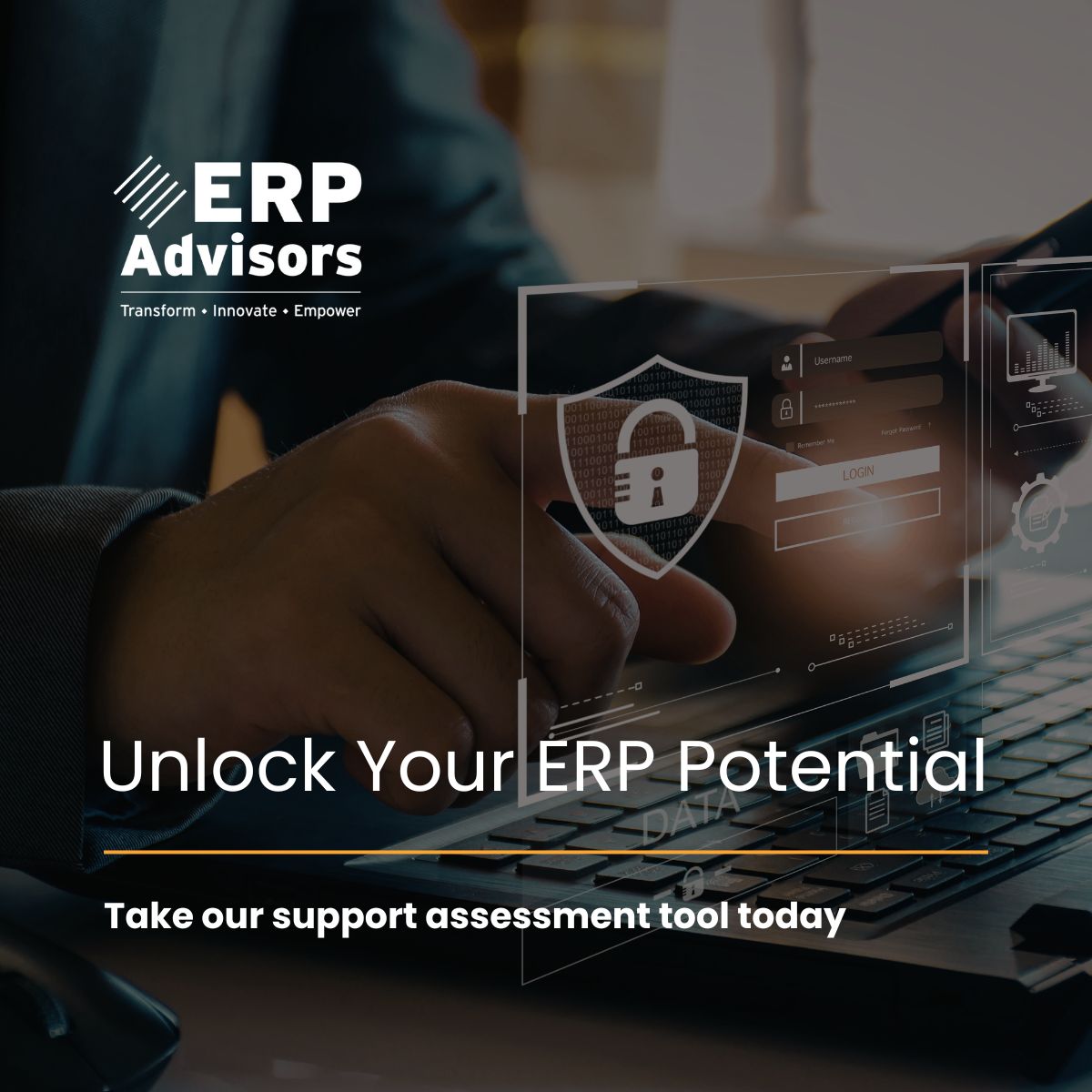 ERP ADVISORS ad