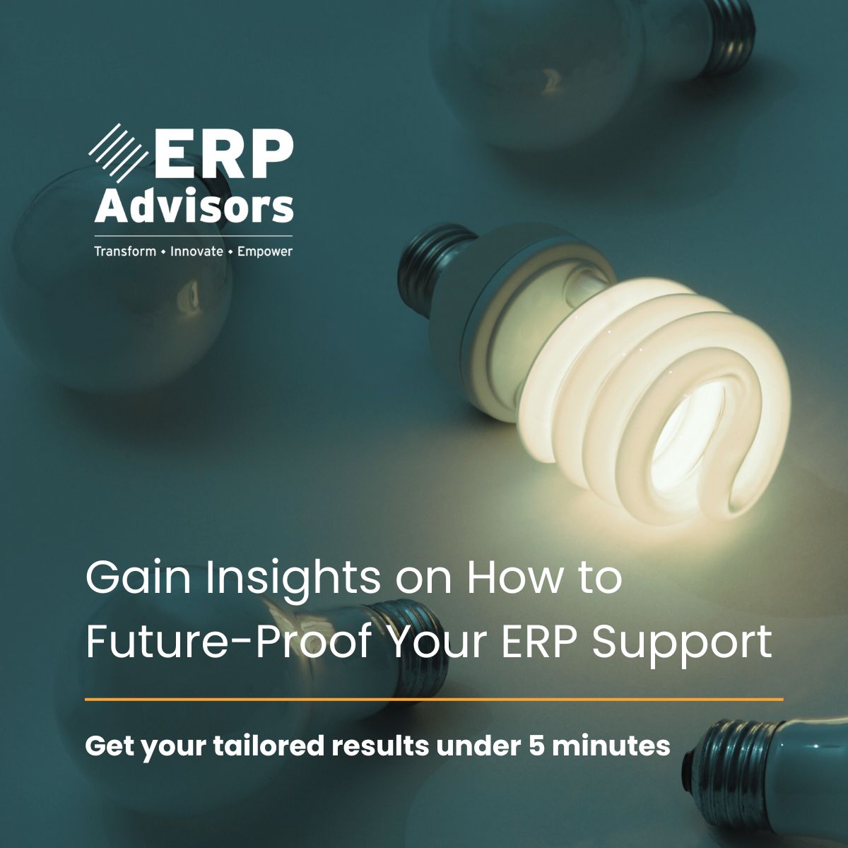 ERP ADVISORS ad