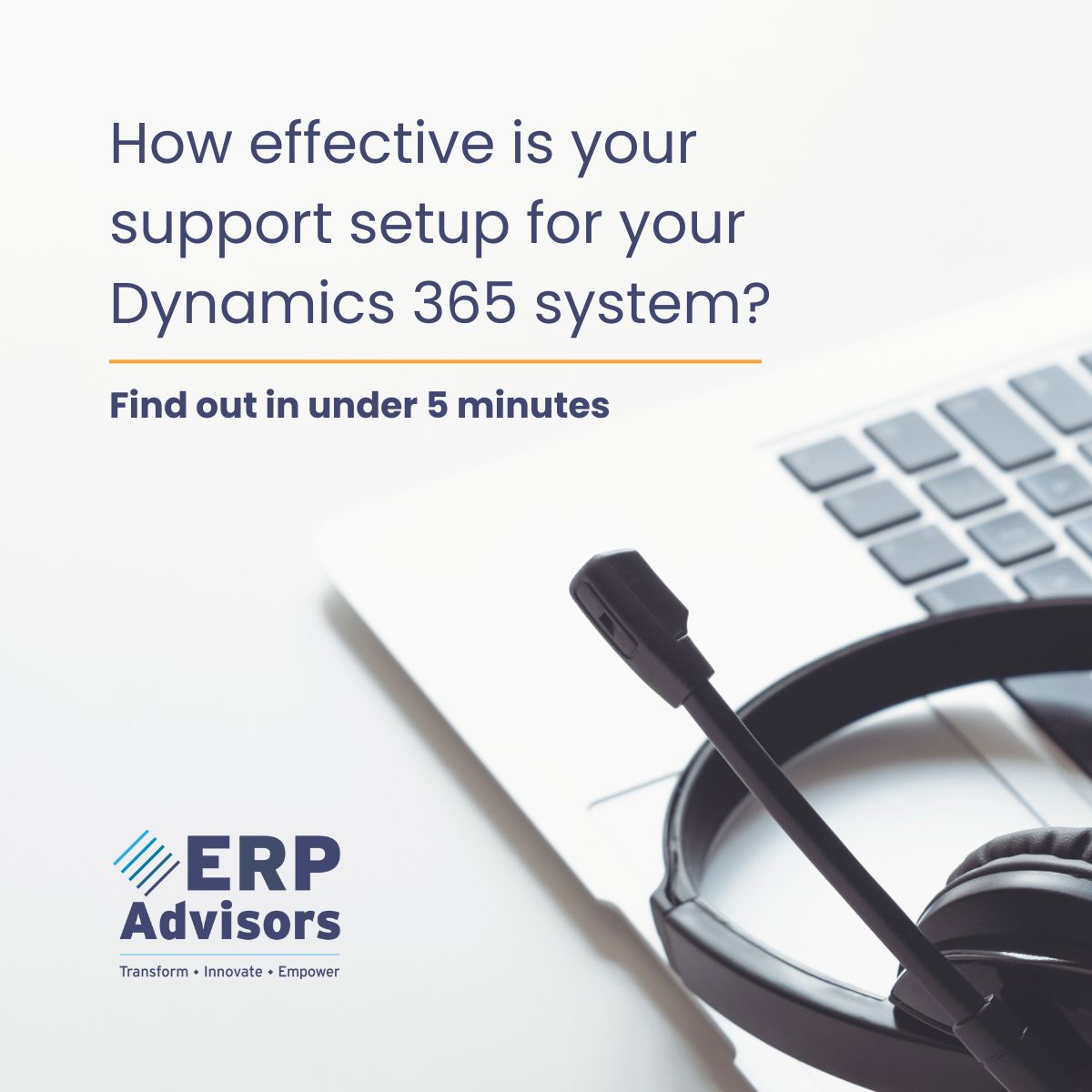 ERP ADVISORS ad