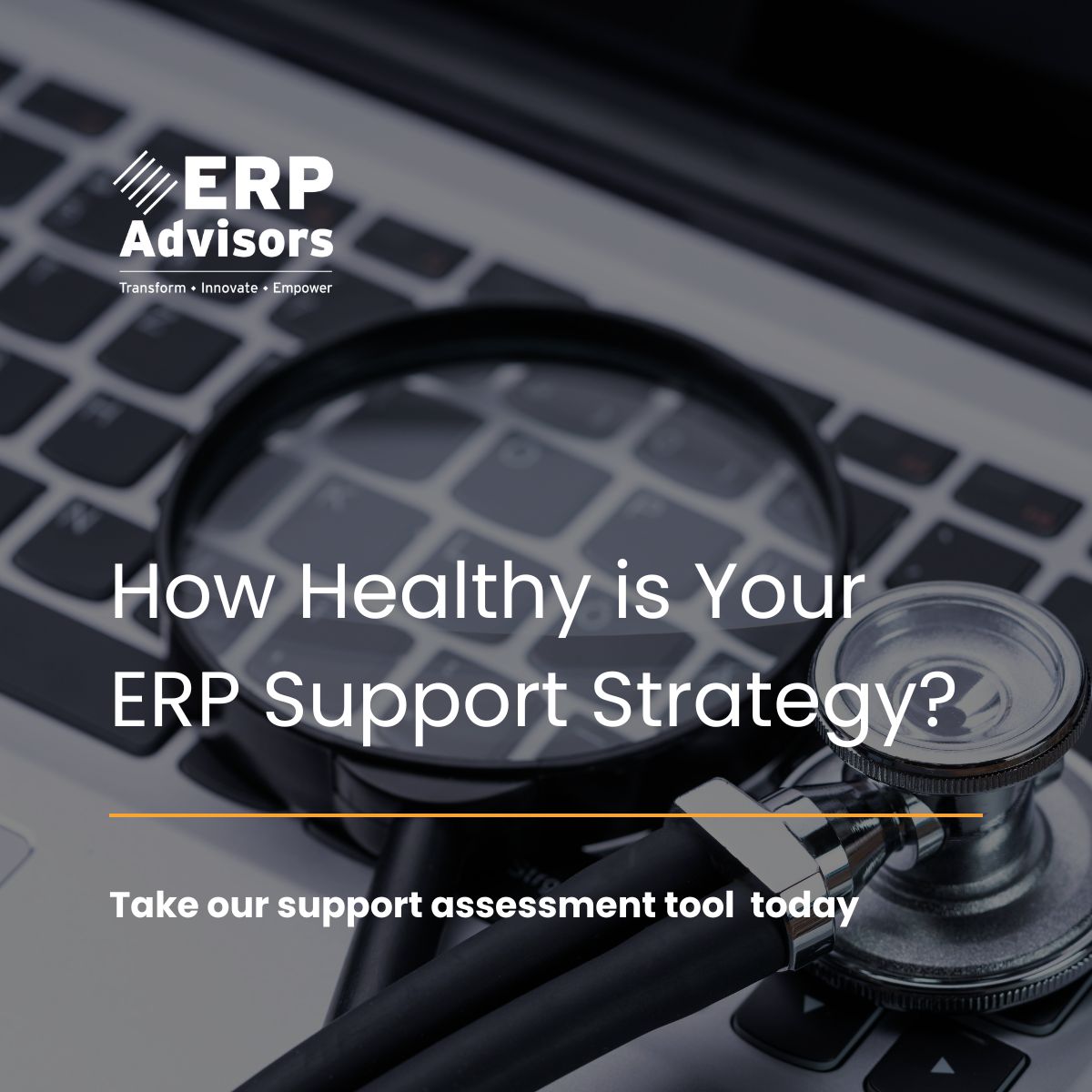 ERP ADVISORS ad