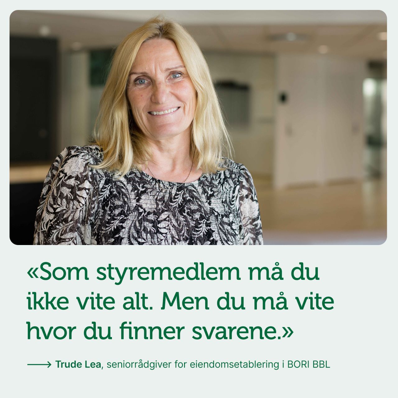BORI BBL ad