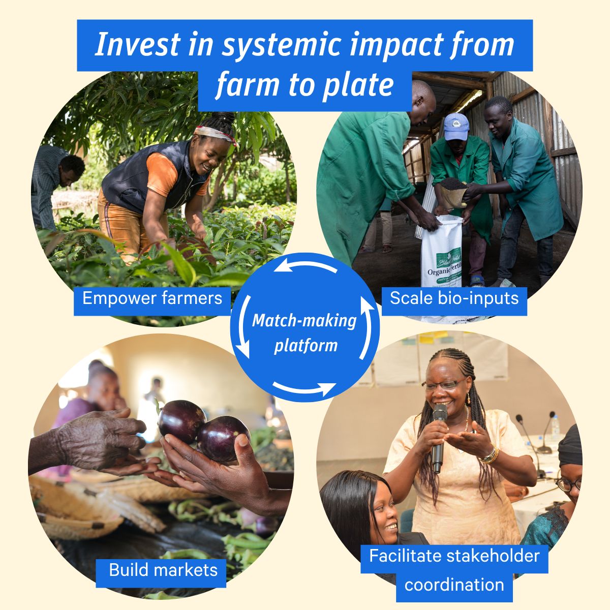 Biovision Foundation ad