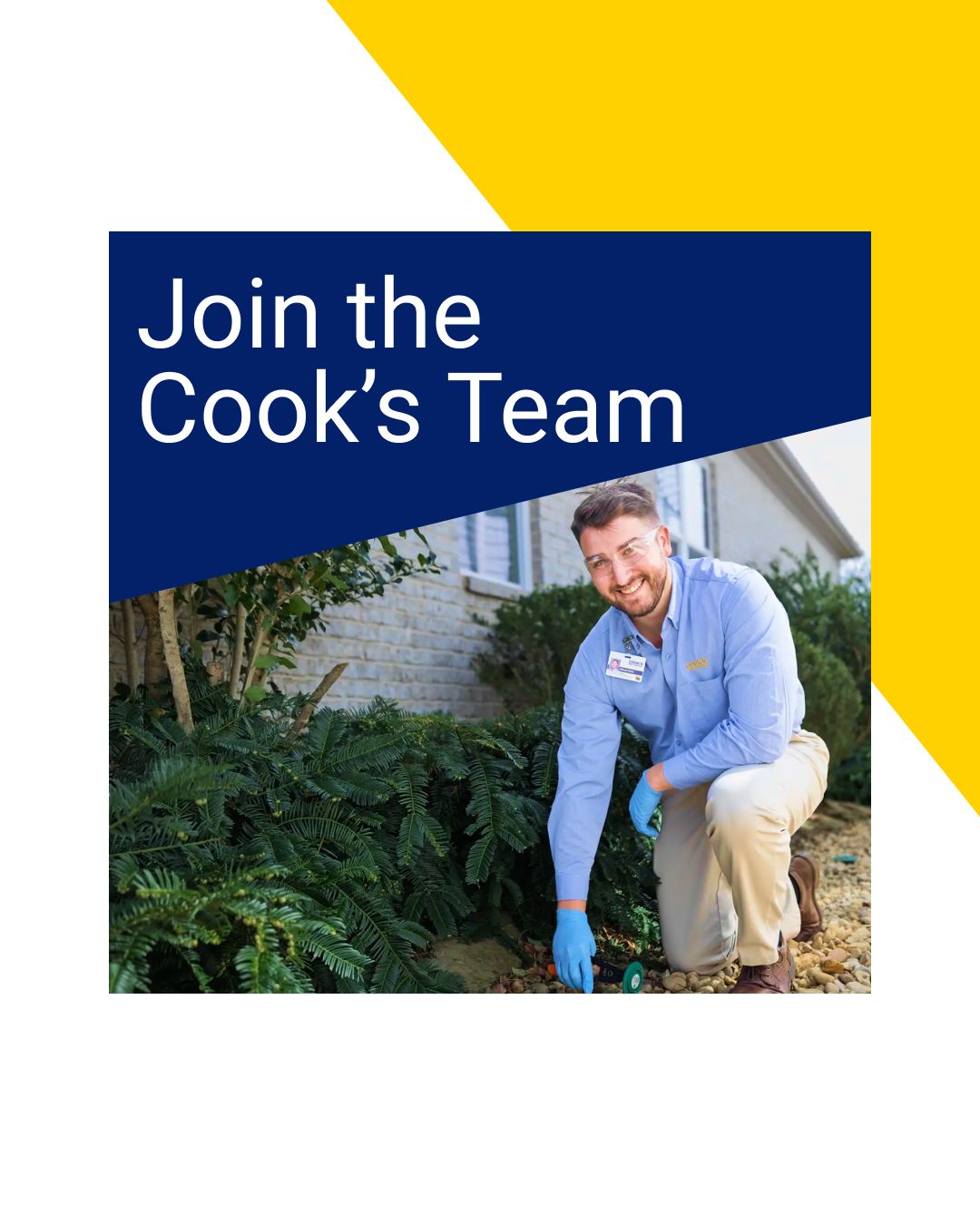 Cook's Pest Control ad