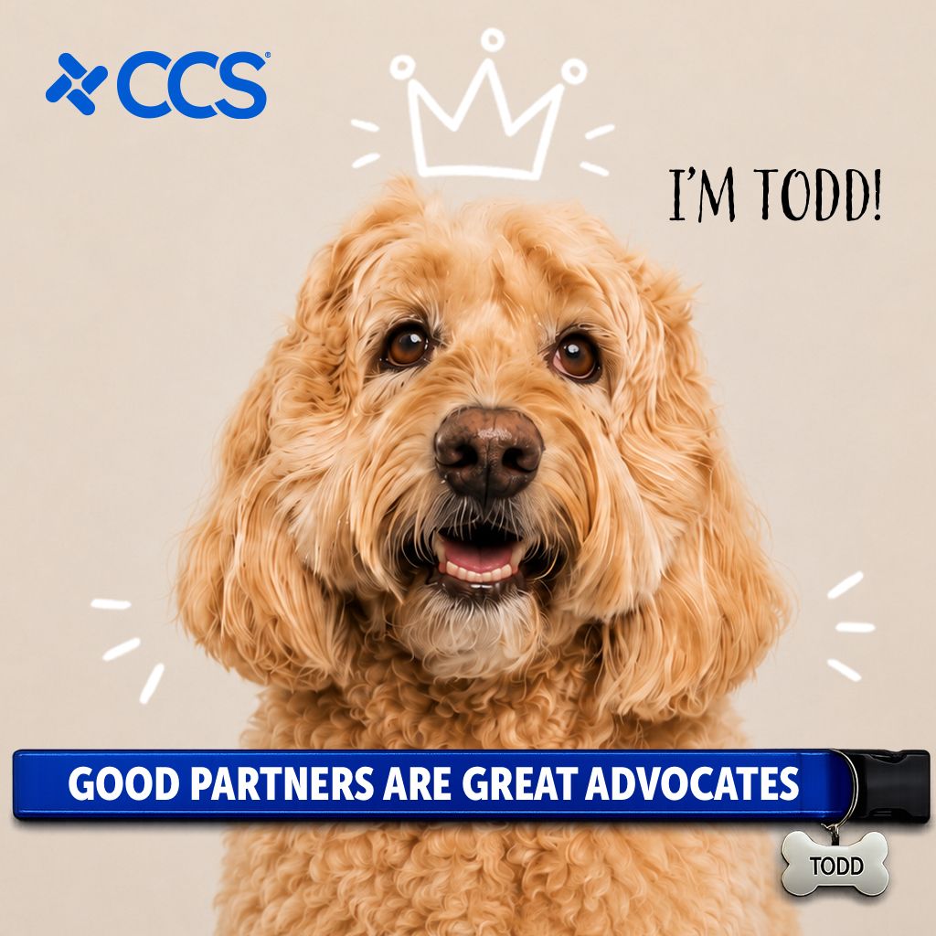 CCS ad