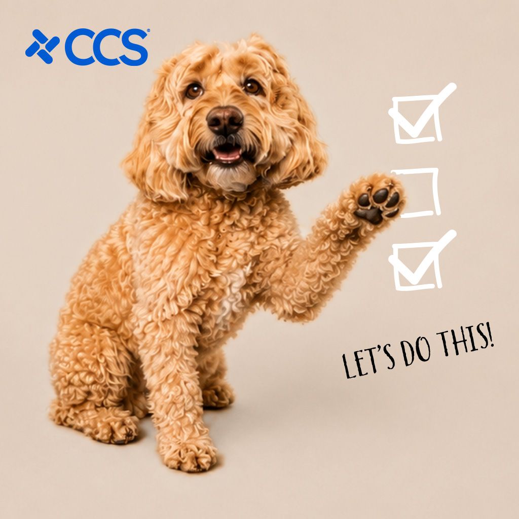 CCS ad