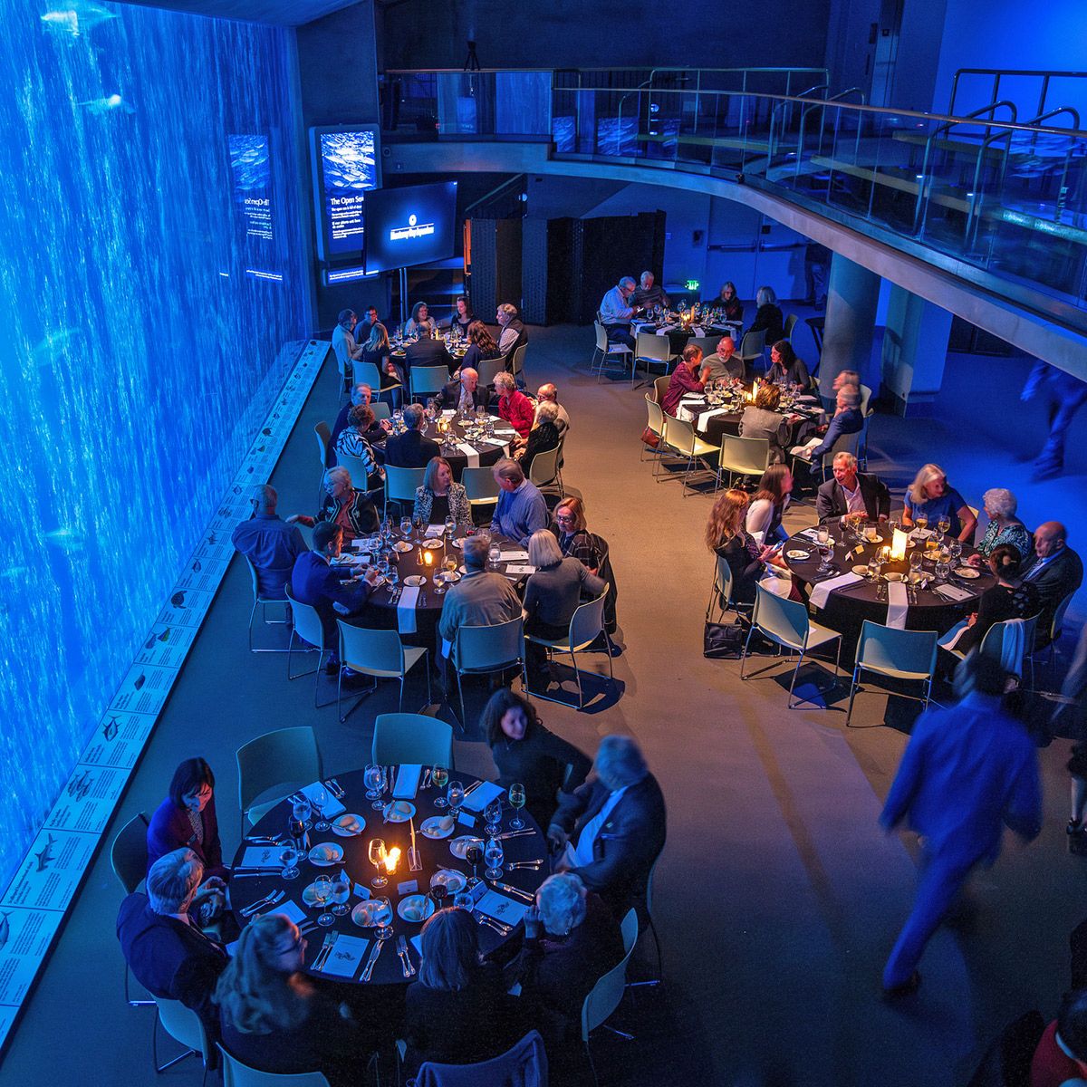 Monterey Bay Aquarium ad