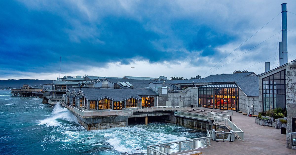 Monterey Bay Aquarium ad