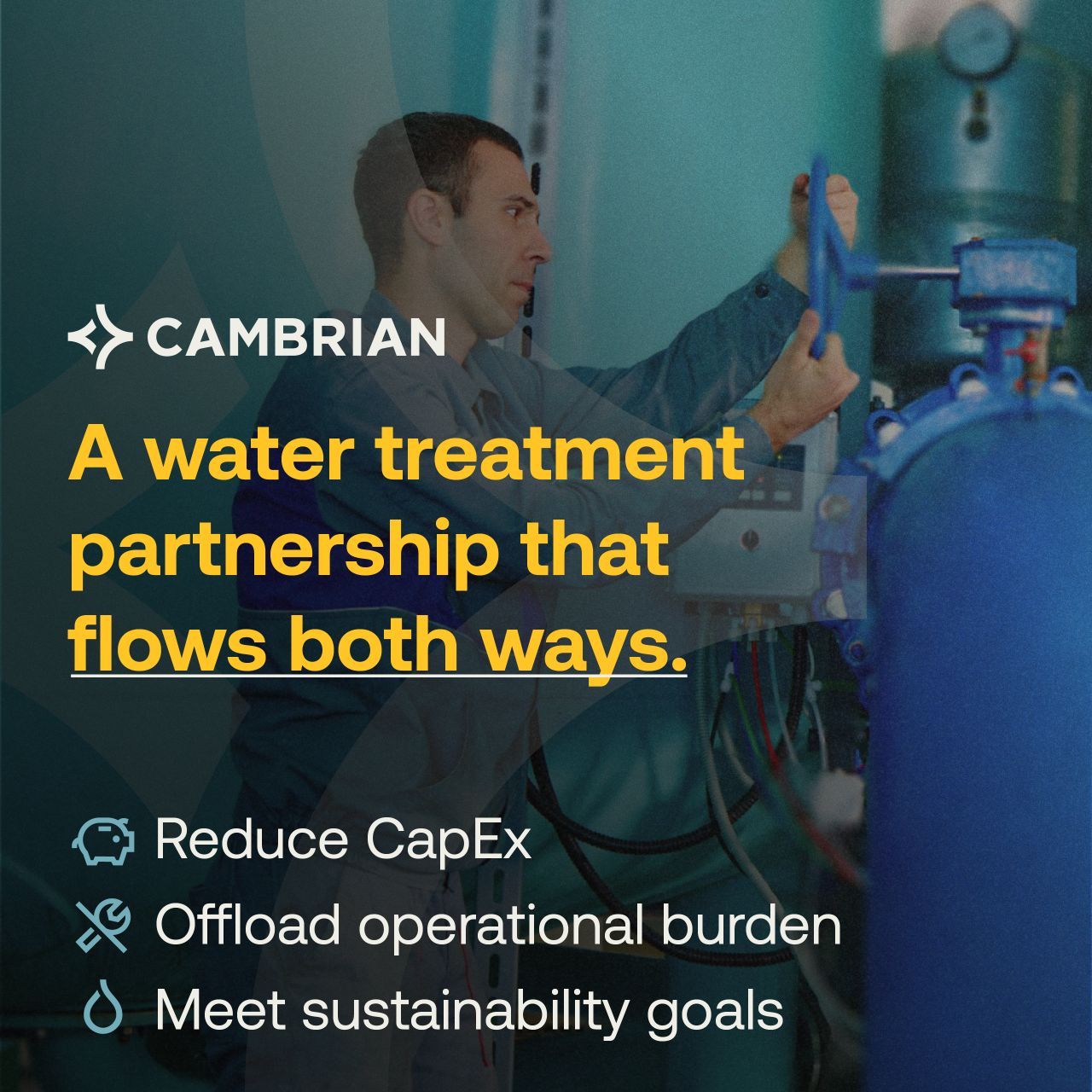 Cambrian ad