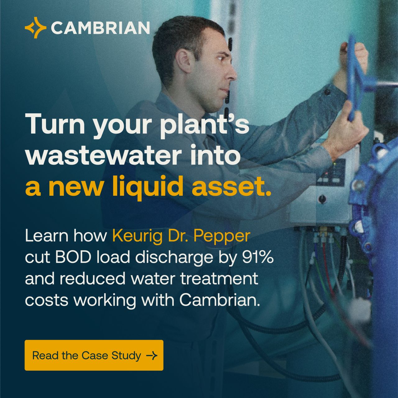 Cambrian ad