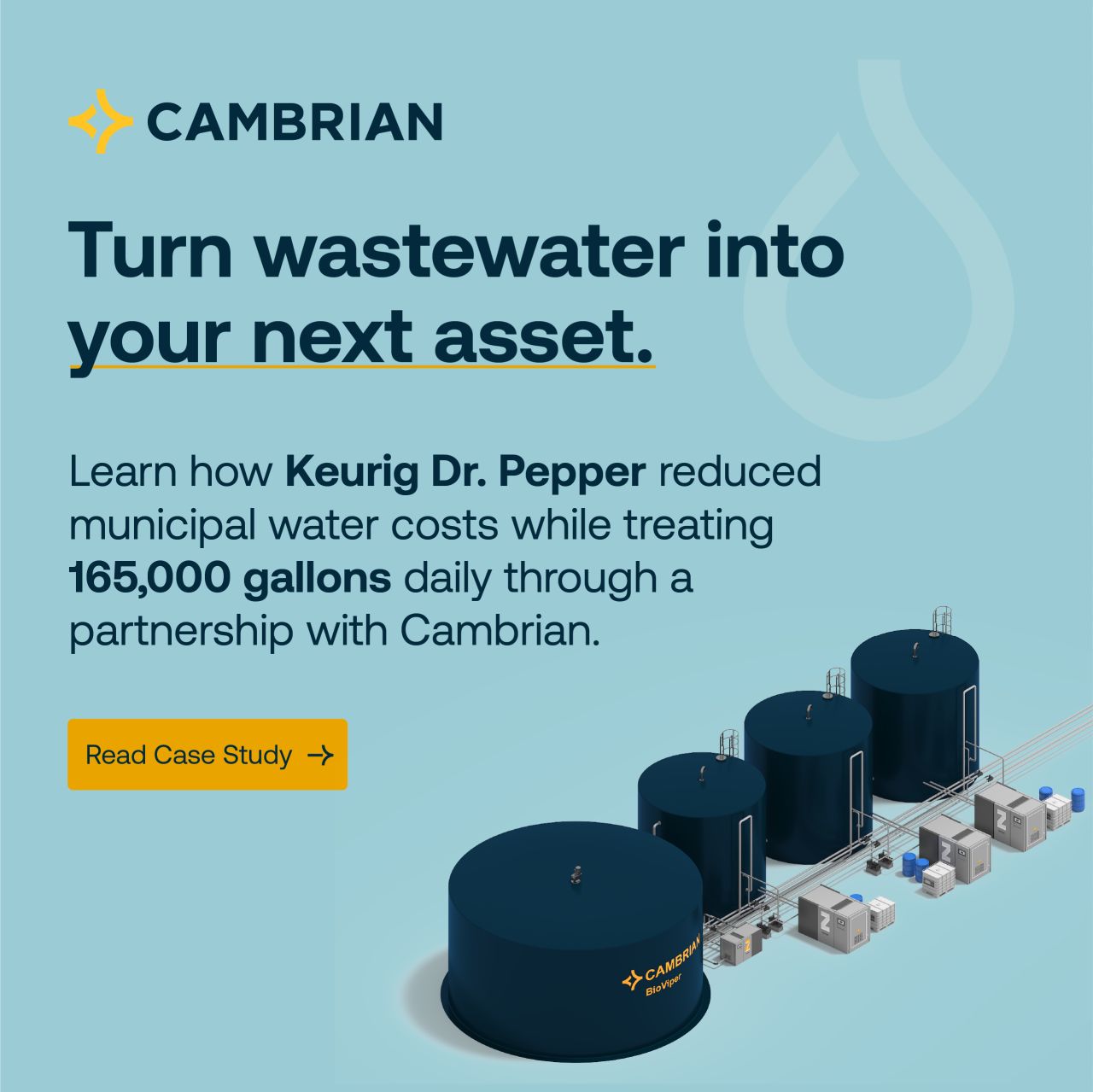 Cambrian ad