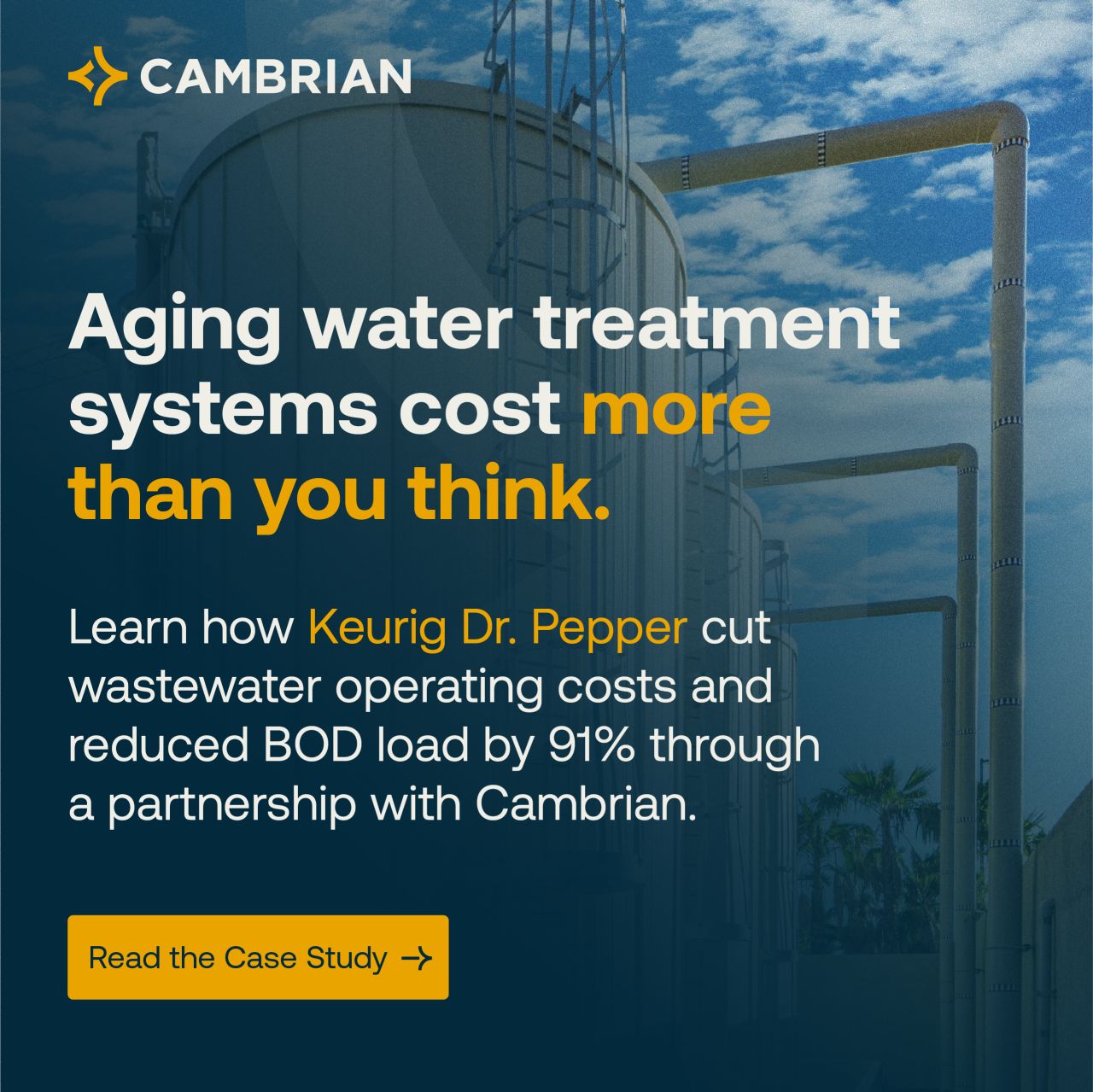 Cambrian ad