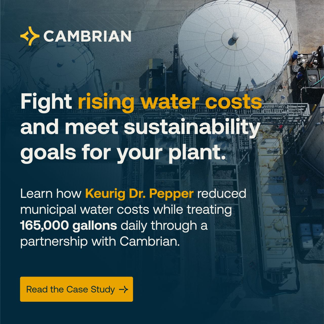 Cambrian ad