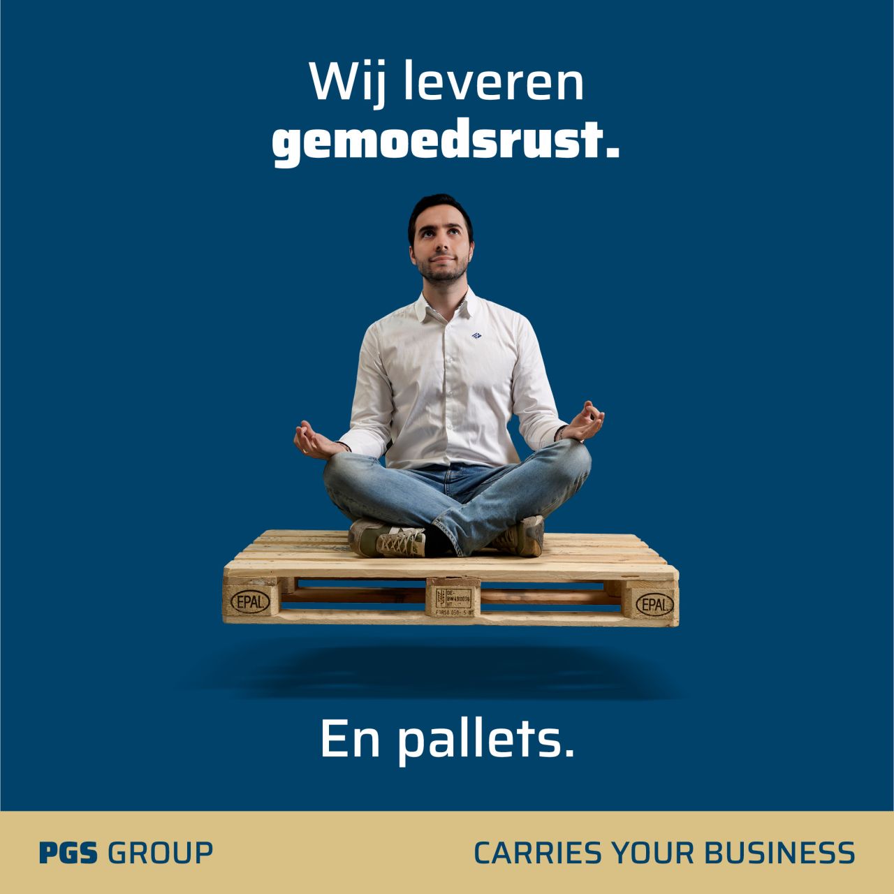 PGS GROUP ad