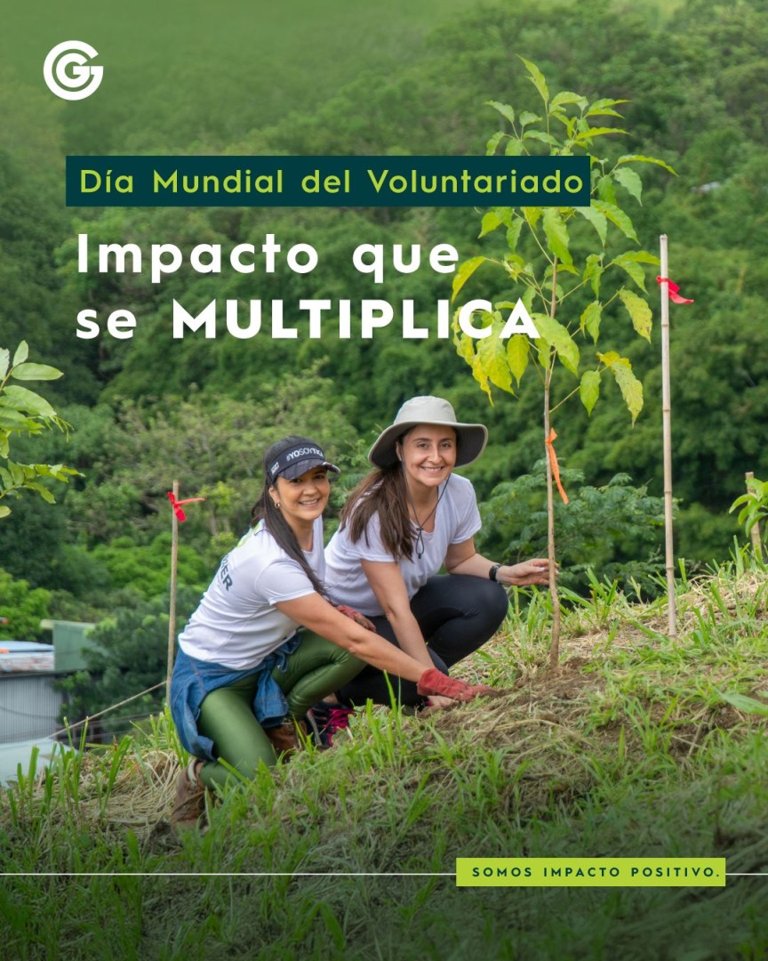 Garnier&Garnier Desarrollos Inmobiliarios ad