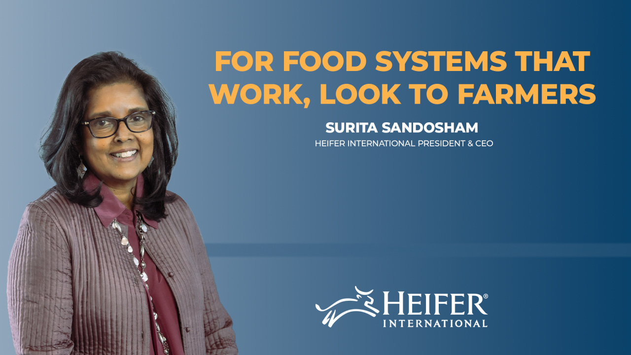 Heifer International ad