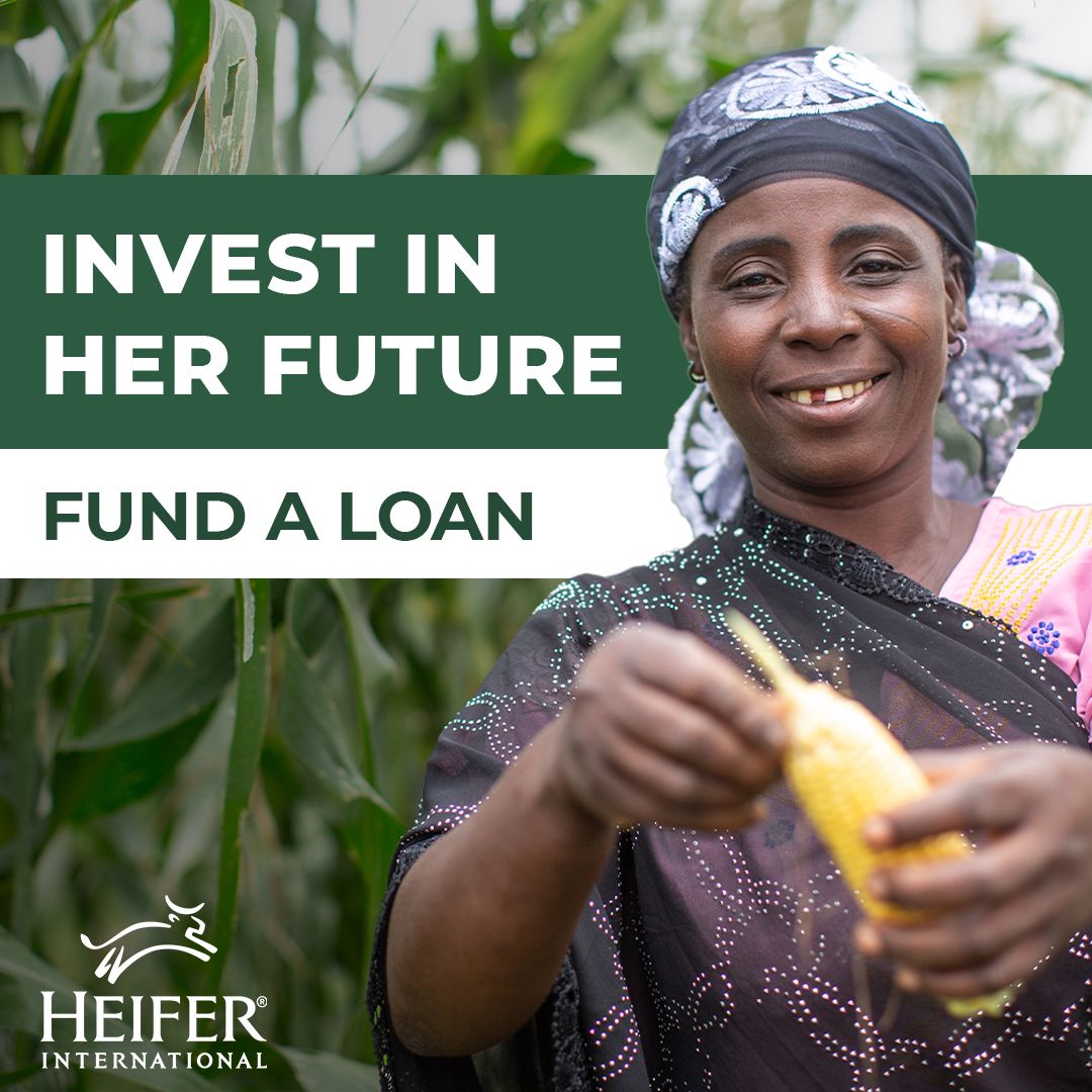 Heifer International ad