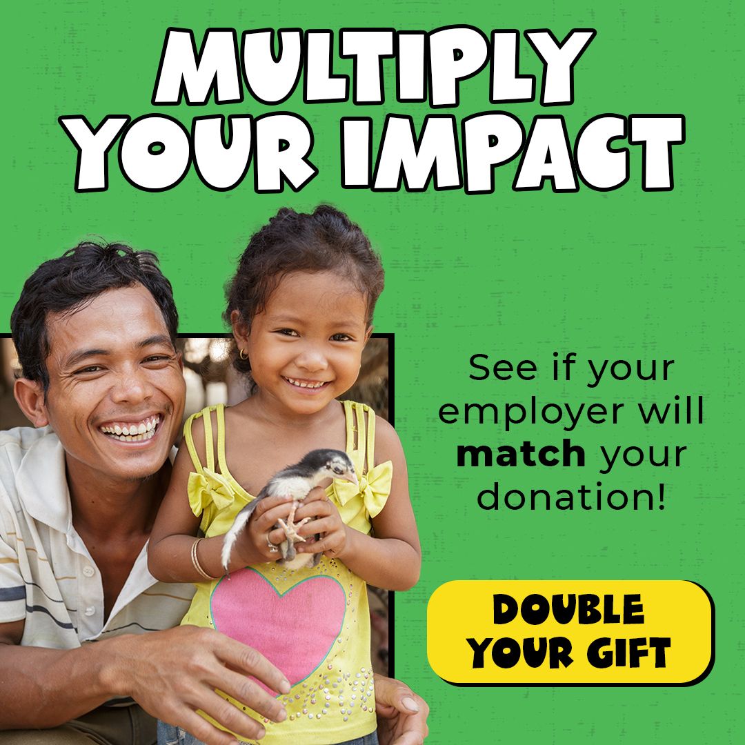 Heifer International ad