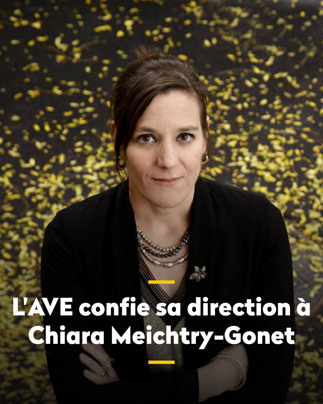 AVE / WBV ad