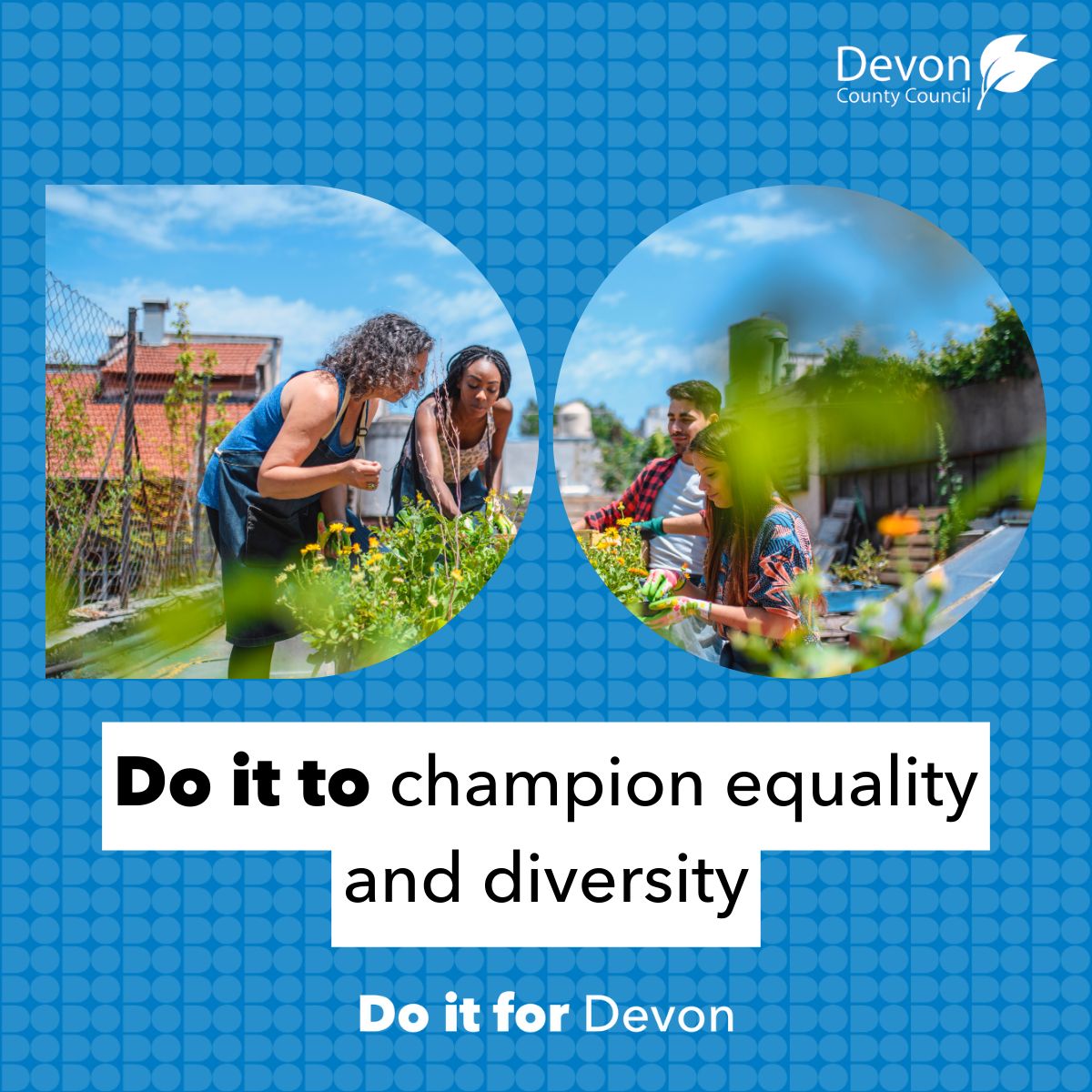 Devon County Council ad