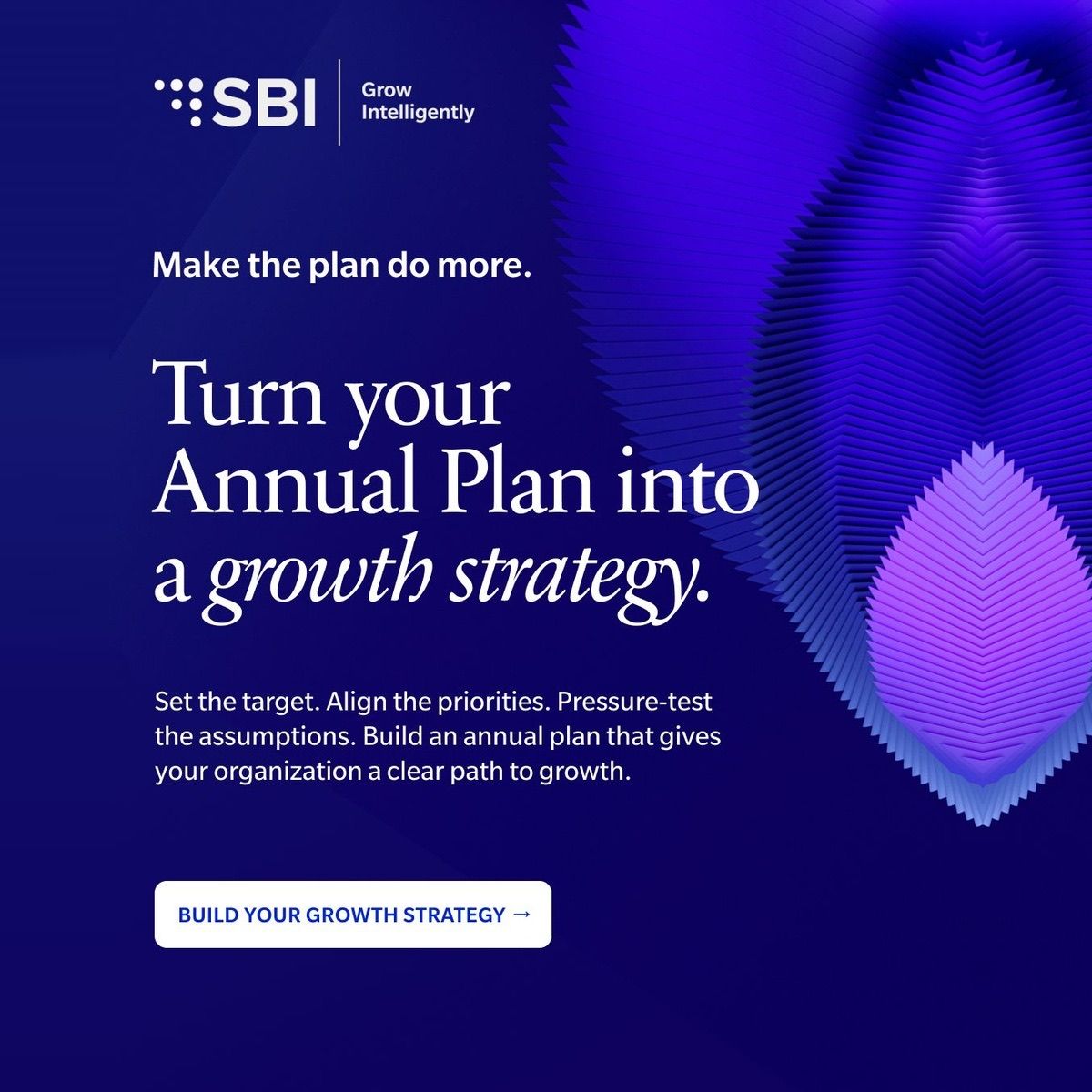 SBI, The Growth Advisory ad