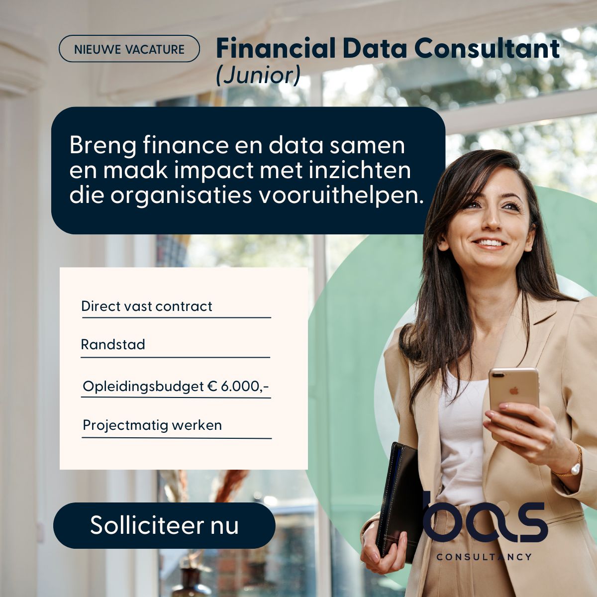 BAS Consultancy ad